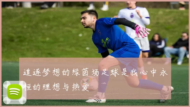 追逐梦想的绿茵场足球是我心中永恒的理想与热爱