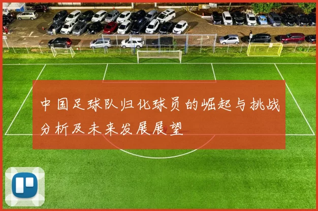 中国足球队归化球员的崛起与挑战分析及未来发展展望