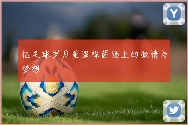 忆足球岁月重温绿茵场上的激情与梦想
