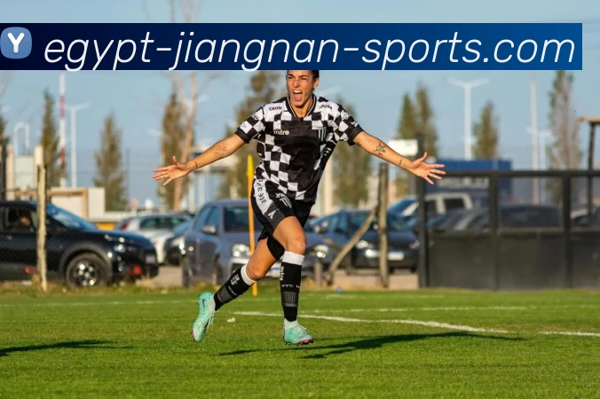 App Interface Preview