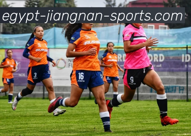 江南体育APP 封面图